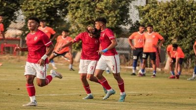 الأهلي يهزم فاركو بهدف في بطولة الجمهورية 2005