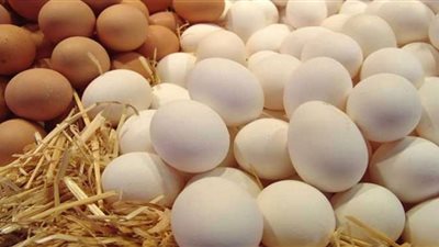 ارتفاع أسعار البيض فى التعاملات الصباحية