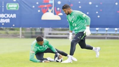 نجم السعودية للوفد: 