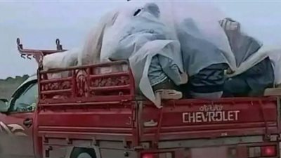 صورة عمال مصريين تشعل الشوسيال ميديا| شاهد