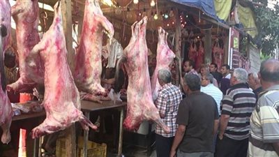 وزارة الزراعة تطرح اللحوم بأسعار مخفضة