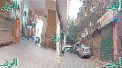 «الأسواق الحضارية» ومشروعات الشباب شاهد على فساد المحليات وإهدار المال العام