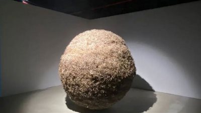 فنانة سعودية تناجي الطبيعة بمجسم ساحر من مادة الكريستال