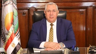 الإفراج عن 172 ألف طن أعلاف من الذرة والصويا