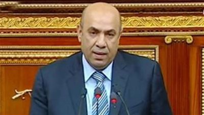 برلماني: توجيهات السيسي بالدعم الاستثنائي ضرورية