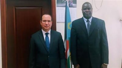 سفير مصر يبحث مع وزير الطاقة السوداني مستجدات التعاون في مجال الكهرباء
