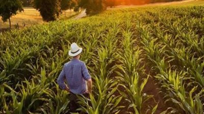 الغذاء في خطر بسبب التغيرات المناخية (فيديو)