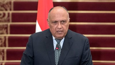 وزير الخارجية: لاحل لأزمة تغير المناخ دون تعاون عالمي