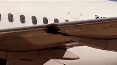 سرب من النحل يلغى رحلة جوية