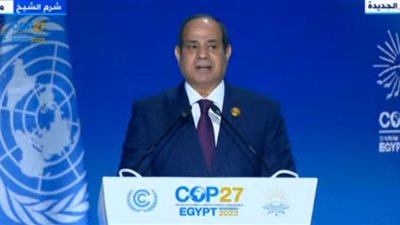 آليات وقف الحرب الروسية الأوكرانية بعد دعوة السيسي