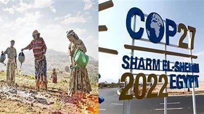 قمة المناخ في شرم الشيخ طوق نجاة من مستقبل يهدد العالم