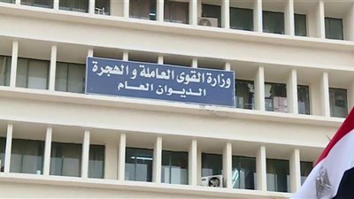 نشاط وزارة القوى العاملة في أسبوع