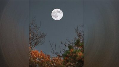 بدر ربيع الآخر يظهر في السماء غدًا