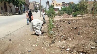 محلية دار السلام تواصل زراعة الأشجار بنطاق المركز
