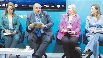 محمود محيى الدين: الفن يقوم بدور مهم فى زيادة الوعى بقضايا المناخ