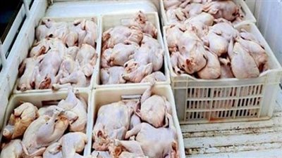ضبط 10.5 طن لحوم ودواجن فاسدة فى 3 مجازر بالقليوبية