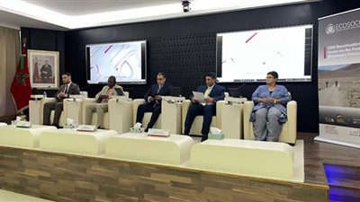 نميرة نجم: ملك المغرب داعم شخصي لملف الهجرة في إفريقيا