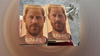 الأمير هاري يربح ملايين الدولارات بعد نشر مذكراته (شاهد)