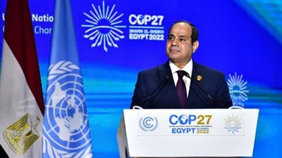 أهداف دعوة الرئيس السيسي لإنهاء الحرب الروسية الأوكرانية