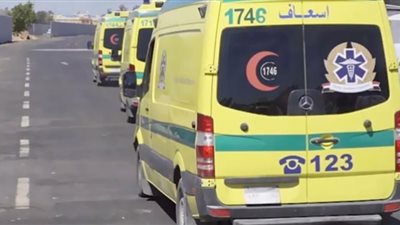 شجرة تنهي حياة تاجر أخشاب بالبحيرة