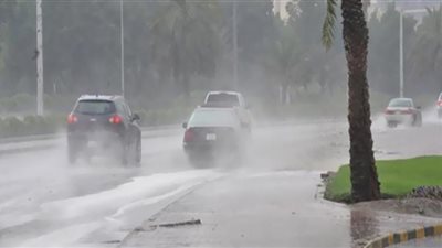 شبورة وفرص سقوط أمطار.. توقعات طقس السبت