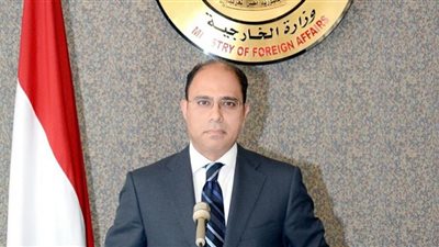 الخارجية تصف تصريحات حسن نصر الله عن مصر بـ«العبثية»