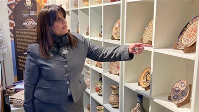 الهجرة تدعو المصريين بالخارج للترويج لقمة المناخ