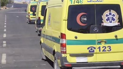 سيارة مسرعة تنهى حياة أحد الشباب بعين شمس