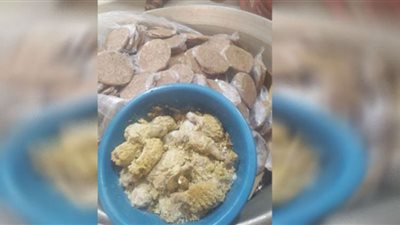 ضبط لحوم ودواجن وأسماك فاسدة خلال حملات رقابية بالشرقية