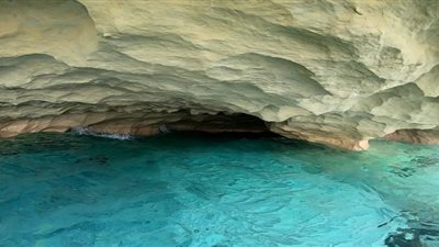 اكتشاف عمره 12 مليون عام على إحدى الشواطئ الأمريكية