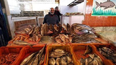 البوري بكام .. أسعار الأسماك اليوم الثلاثاء في الأسواق