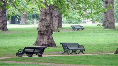 قضاء وقت أكبر في الحدائق يقلل استخدامك للأدوية