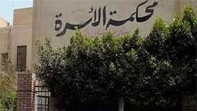 استكمال نظر دعوى نسب أقامتها سيدة ضد لاعب شهير 3 يناير