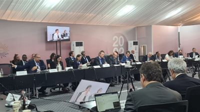 محيي الدين يؤكد عدم فعالية هيكل تمويل العمل المناخي على المستوى الدولي