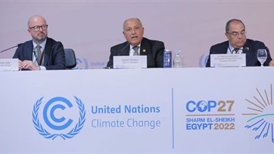 محيي الدين: زيادة تمويل تغيير المناخ ضرورة حتمية
