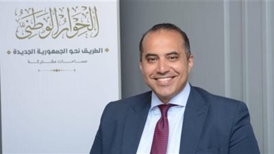 جلسة الإثنين القادم لاختيار مقرري لجان الحوار الوطني (فيديو)