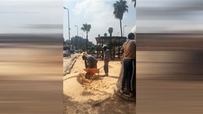 رفع 345 طن قمامة وأتربة من الشوارع بمدينة المنصورة