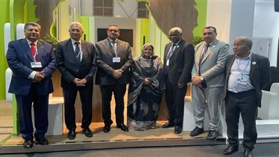 وزير التنمية: عرض الخبرات المصرية للأشقار الأفارقة في مبادرة 