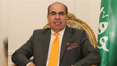 الهضيبى يقترح رفع كفاءة العنصر البشري وتعاون وزارة السياحة لتوفير العملة الصعبة