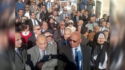 مئات المحامين يدعمون زملاء مطروح أمام المحكمة