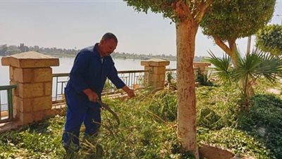 حملة لقص وتهذيب الأشجار بمدينة دشنا في قنا