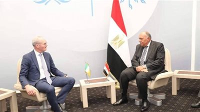 شكري يبحث مع نظيره الإيرلندي القضية الفلسطينية والأزمة الروسية الأوكرانية