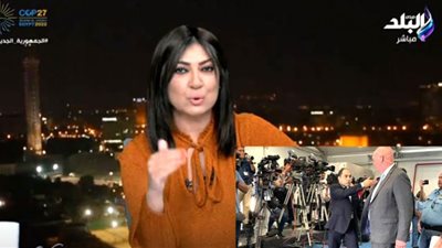 المدافعون عن المواطن المصري علاء عبدالفتاح «قبيضة» تخالف أقوالهم أفعالهم.. فييو