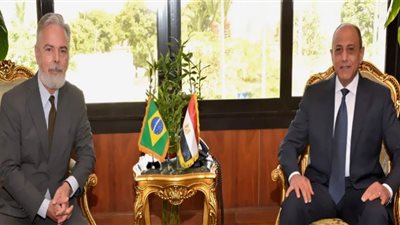 مباحثات مصرية برازيلية لتعزيز التعاون في مجال النقل الجوي