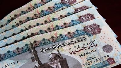 رسومات العملة المصرية بين التاريخ والحقيقة.. شاهد الفيديو