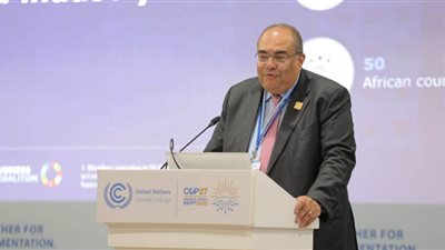 محيي الدين: أفريقيا بحاجة ملحة لمشاركة القطاع الخاص في أنشطة التكيف مع التغير المناخي