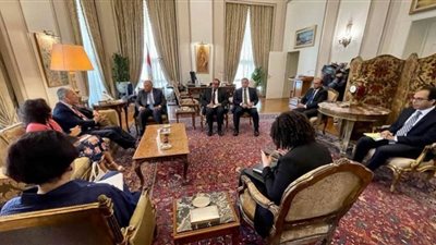 وزير الخارجية يؤكد ضرورة دعم اللاجئين الفلسطينيين ماديًا وسياسيًا