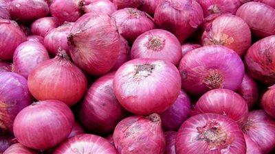 البصل مفيد للتحكم بمستوى السكر في الدم