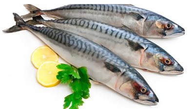 السردين يقلل من أمراض الكلى المزمنة بنسبة 8%.. دراسة توضح