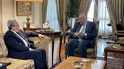 سامح شكري ونظيره التونسي يبحثان سبل تعزيز التعاون